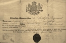 1 3 august carl burgdorf nr19 entlassungsurkunde 1843 20131013 1978422165